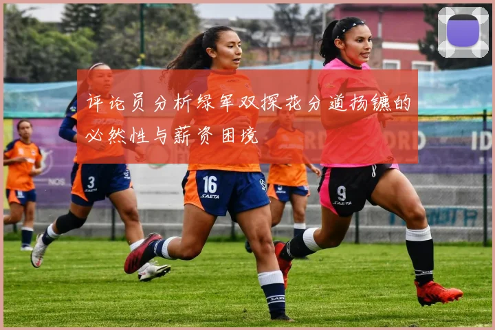 评论员分析绿军双探花分道扬镳的必然性与薪资困境